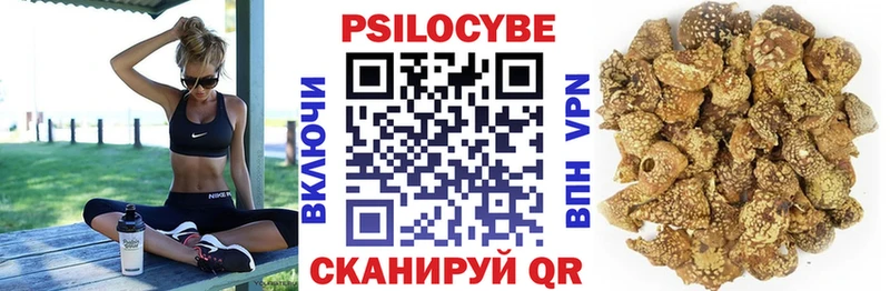 ссылка на мегу онион Партизанск Галлюциногенные грибы MAGIC MUSHROOMS